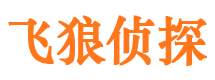 屏山外遇出轨调查取证